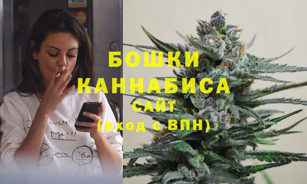 бошки Алексин