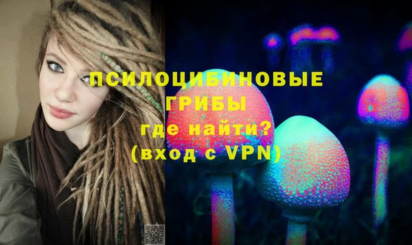прущие крисы Алзамай