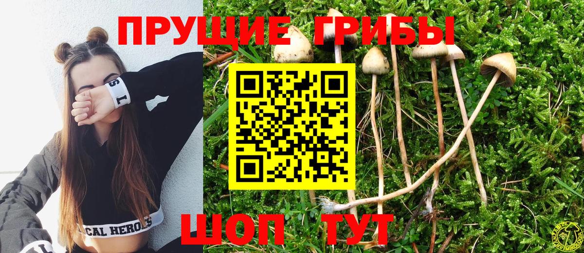 Псилоцибиновые грибы Psilocybine cubensis  где купить наркотик  Ревда  Вход с VPN  Псилоцибиновые грибы прущие грибы 